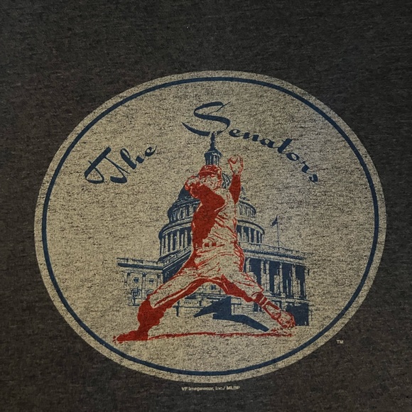 Washington Senators Nationals MLB Baseball Gray Capitol T Shirt Soft Size Medium - Picture 2 of 4